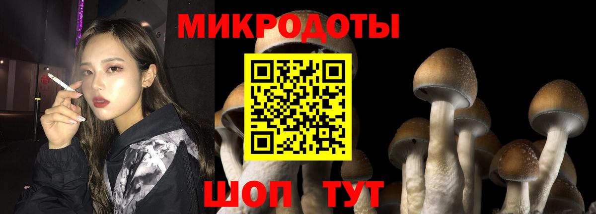 Галлюциногенные грибы мицелий  Вход с VPN  Галлюциногенные грибы GOLDEN TEACHER  Ипатово 